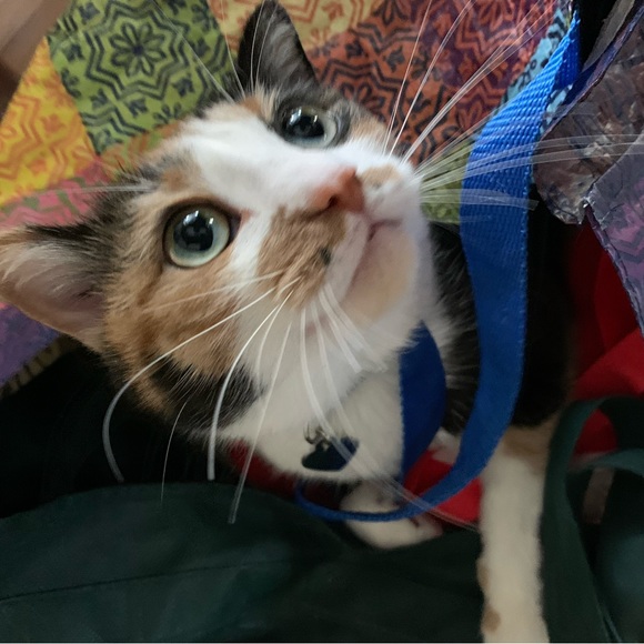 Meet your Posher, Debra - Picture 8 of 13